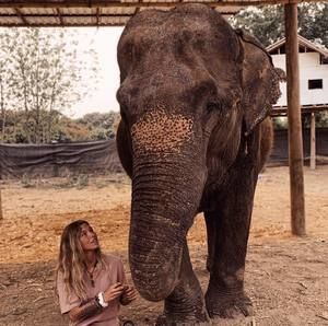 Meet your Posher, Brook